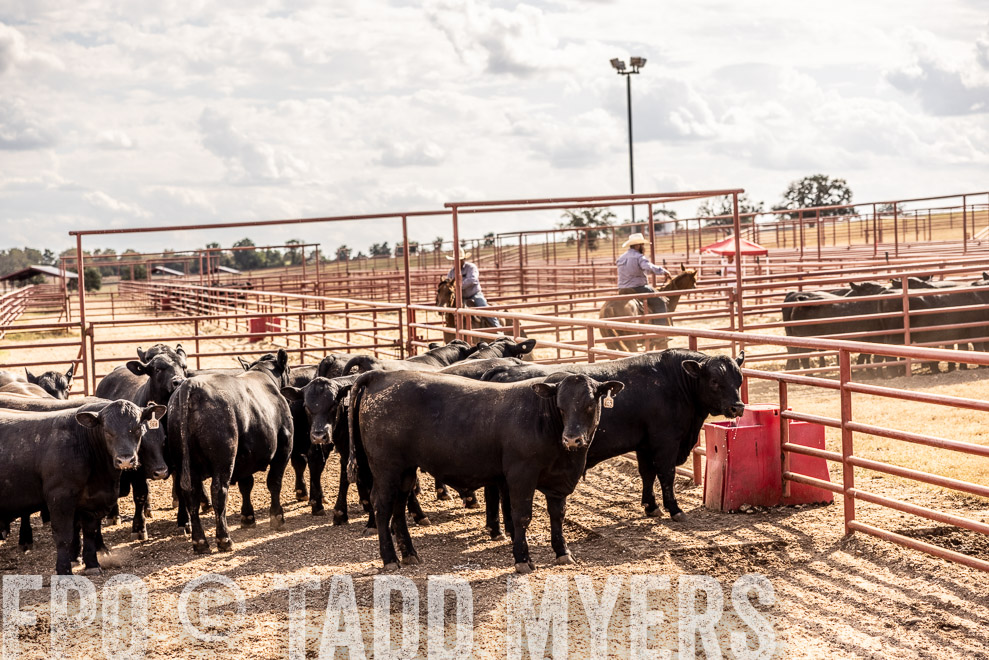TMyers_SaleBookCover_CameronTX_Sept2021-9364