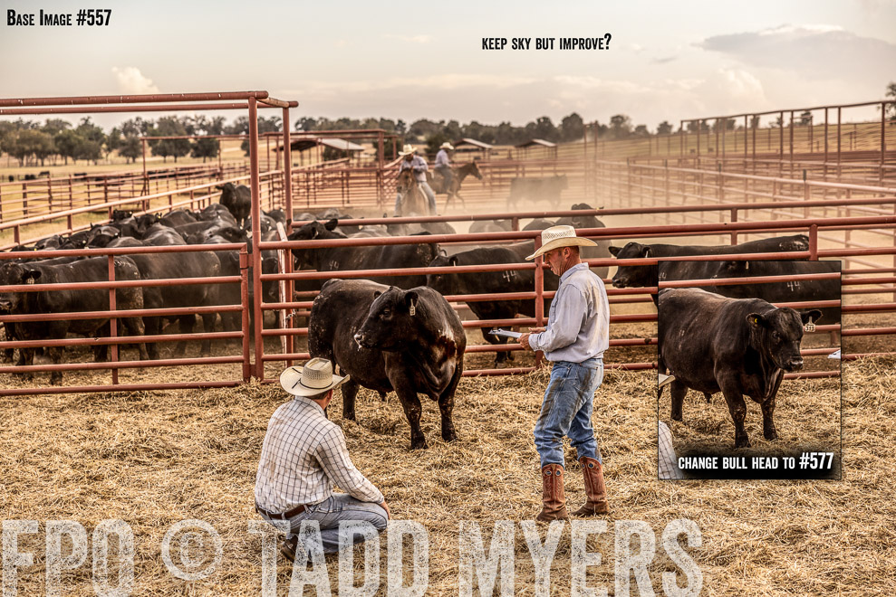Retouching_Notes-TMyers_SaleBookCover_CameronTX_Sept2021-521557-Edit