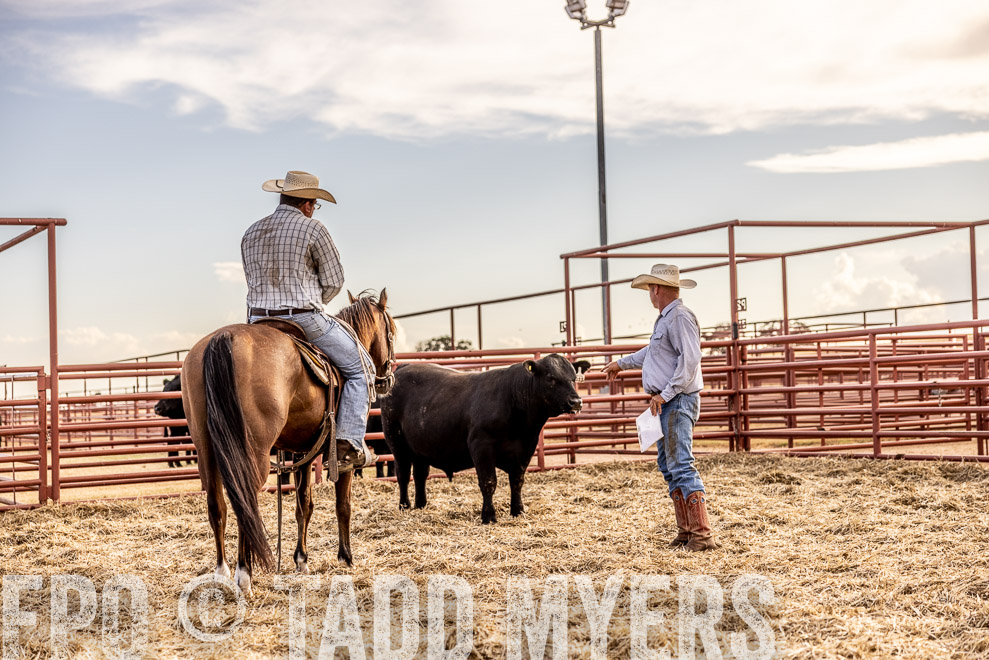 TMyers_SaleBookCover_CameronTX_Sept2021-520181