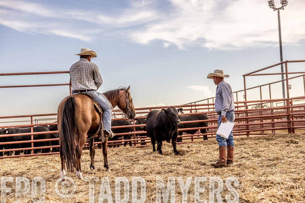 TMyers_SaleBookCover_CameronTX_Sept2021-520254