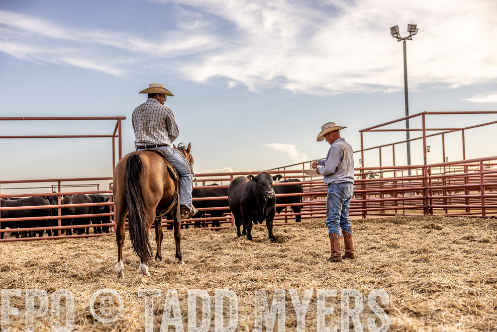TMyers_SaleBookCover_CameronTX_Sept2021-520279
