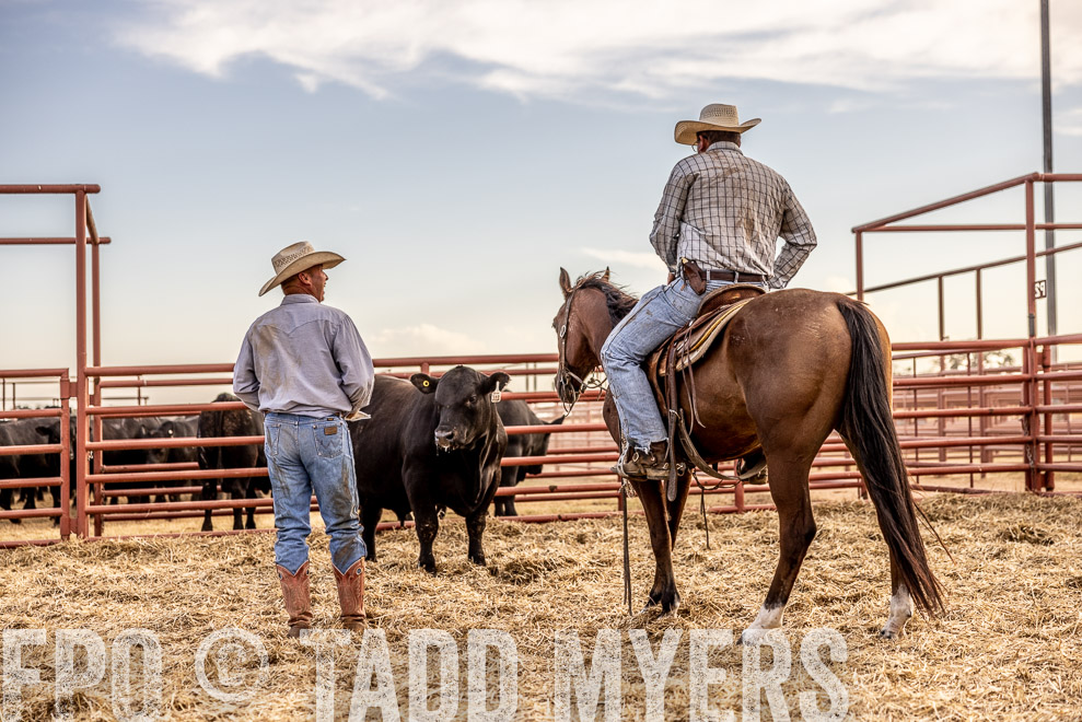 TMyers_SaleBookCover_CameronTX_Sept2021-520390