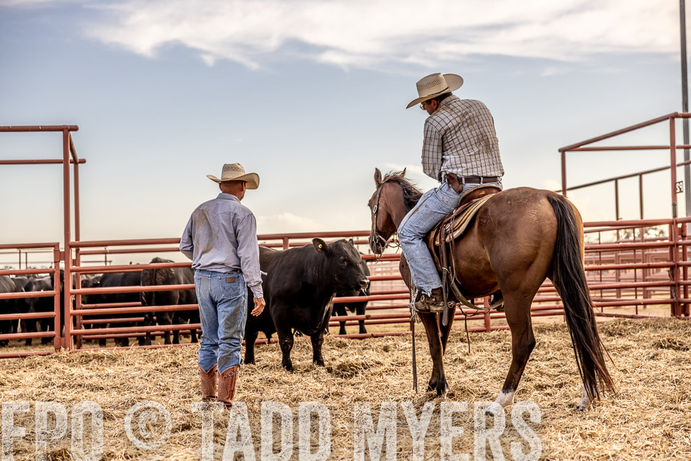 TMyers_SaleBookCover_CameronTX_Sept2021-520401