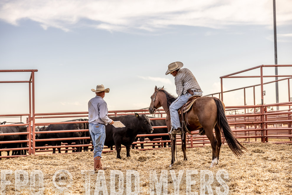 TMyers_SaleBookCover_CameronTX_Sept2021-520496