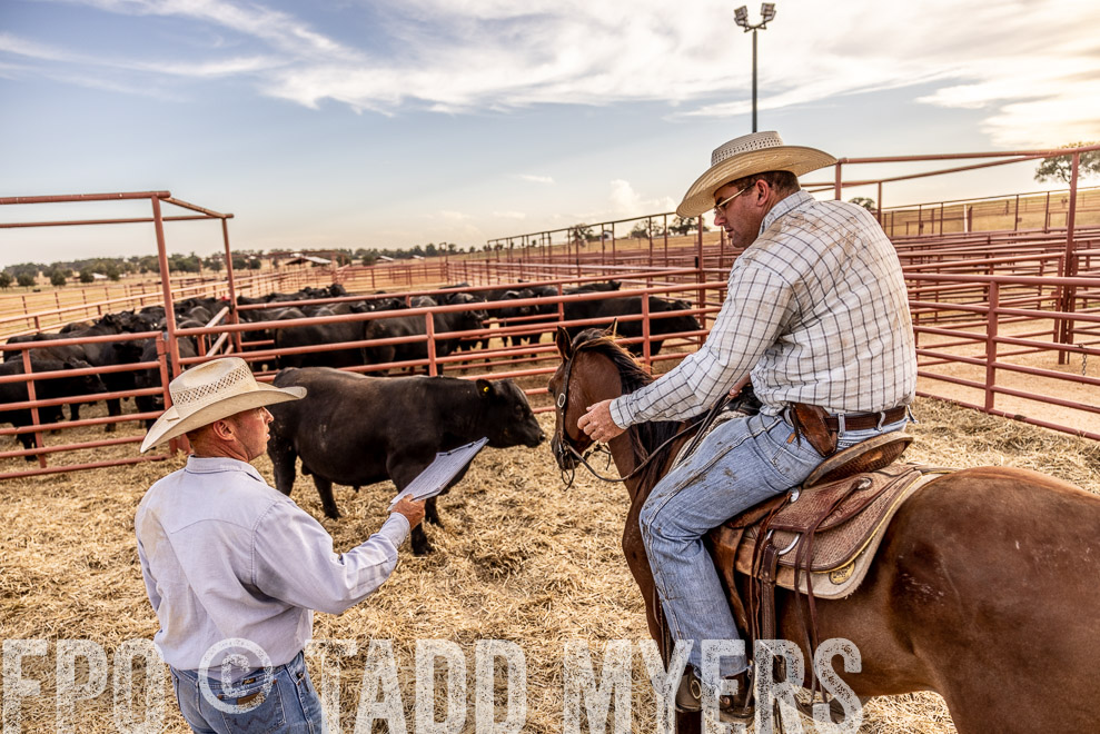TMyers_SaleBookCover_CameronTX_Sept2021-520554