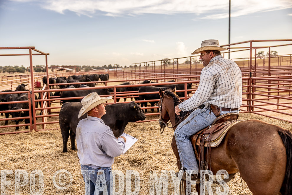 TMyers_SaleBookCover_CameronTX_Sept2021-520675