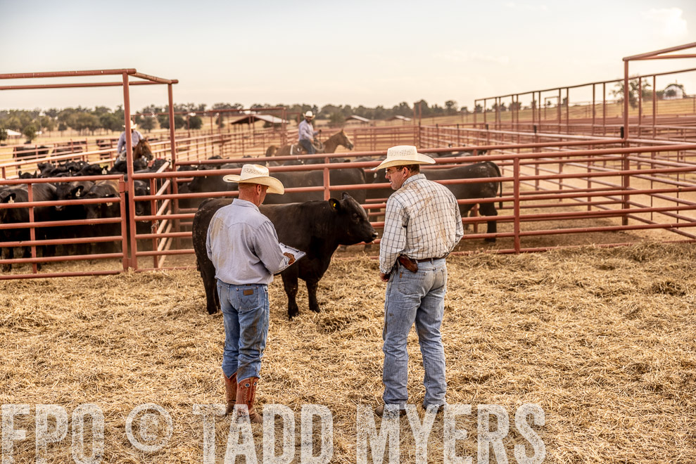 TMyers_SaleBookCover_CameronTX_Sept2021-520844