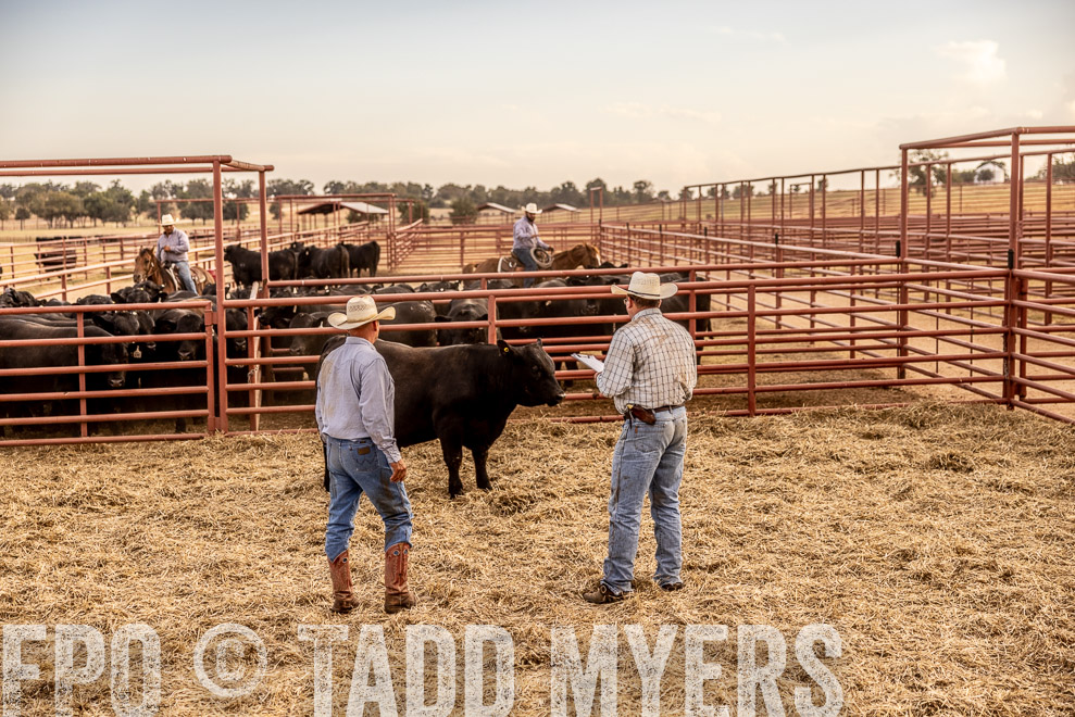 TMyers_SaleBookCover_CameronTX_Sept2021-520898