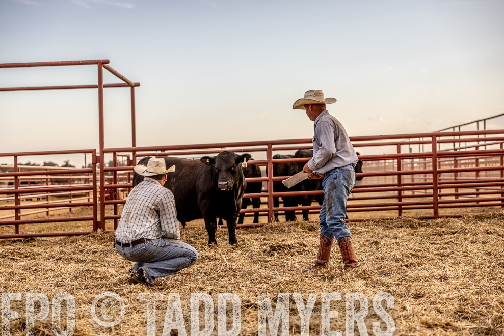 TMyers_SaleBookCover_CameronTX_Sept2021-521111
