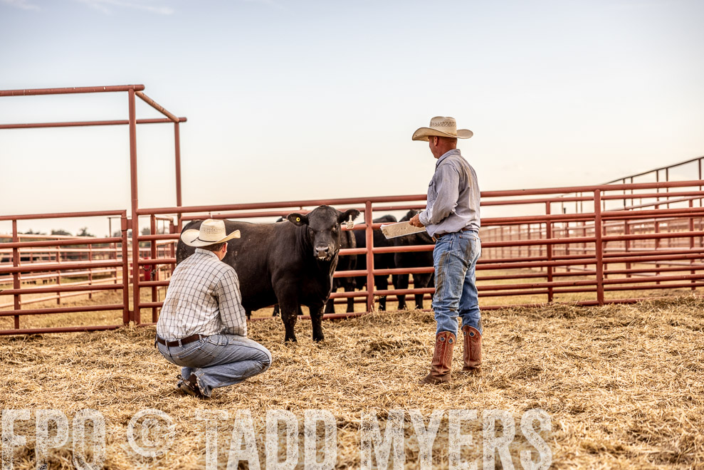 TMyers_SaleBookCover_CameronTX_Sept2021-521123