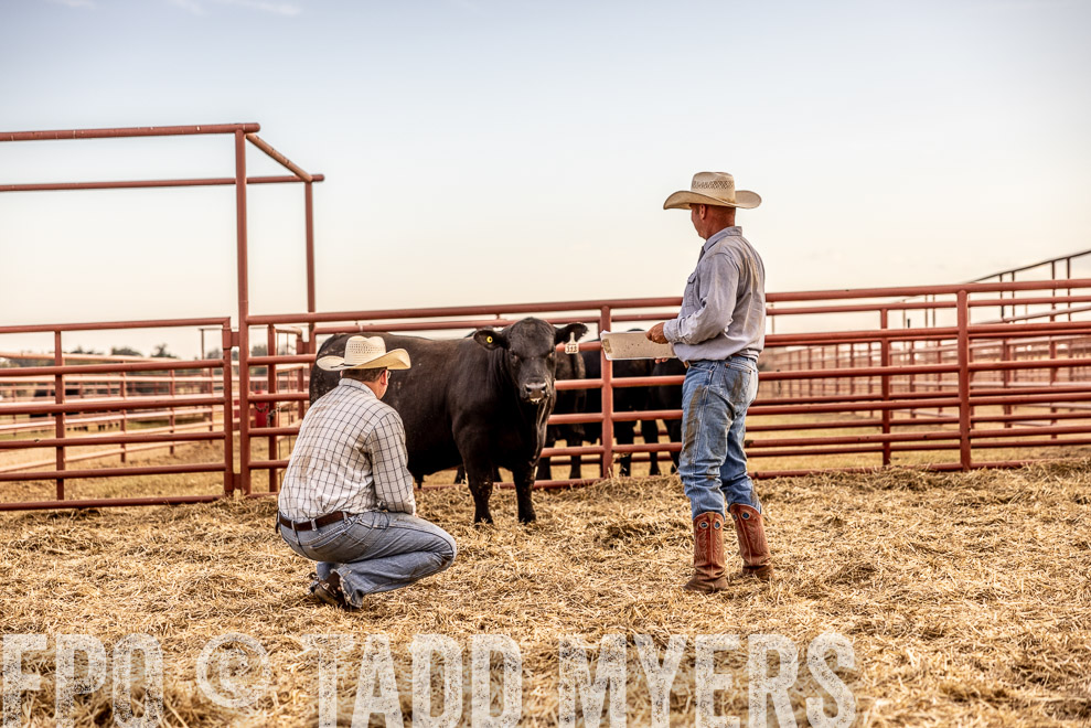TMyers_SaleBookCover_CameronTX_Sept2021-521129