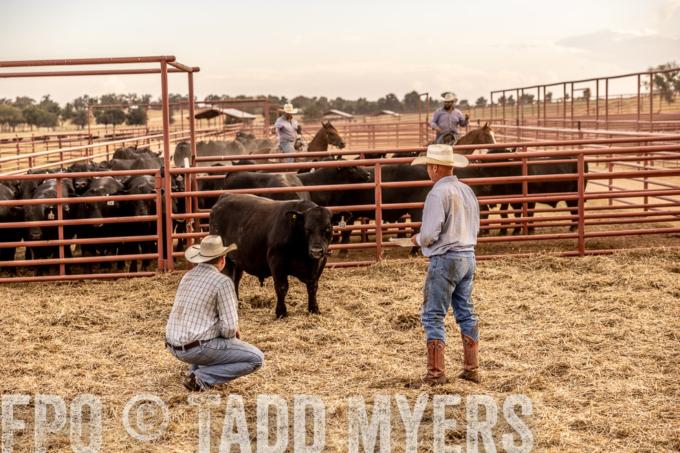 TMyers_SaleBookCover_CameronTX_Sept2021-521227