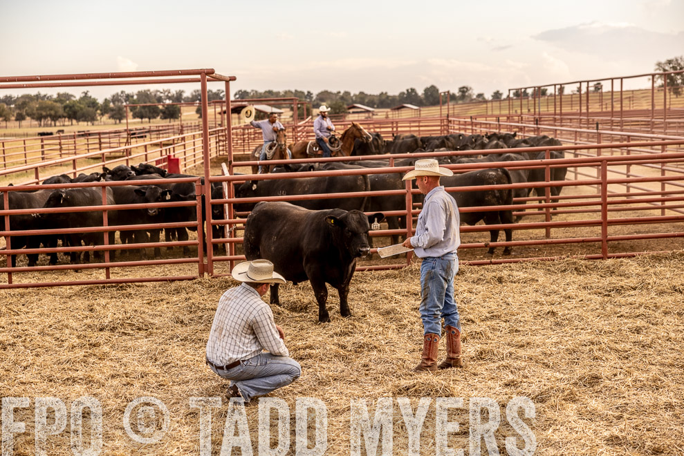 TMyers_SaleBookCover_CameronTX_Sept2021-521485
