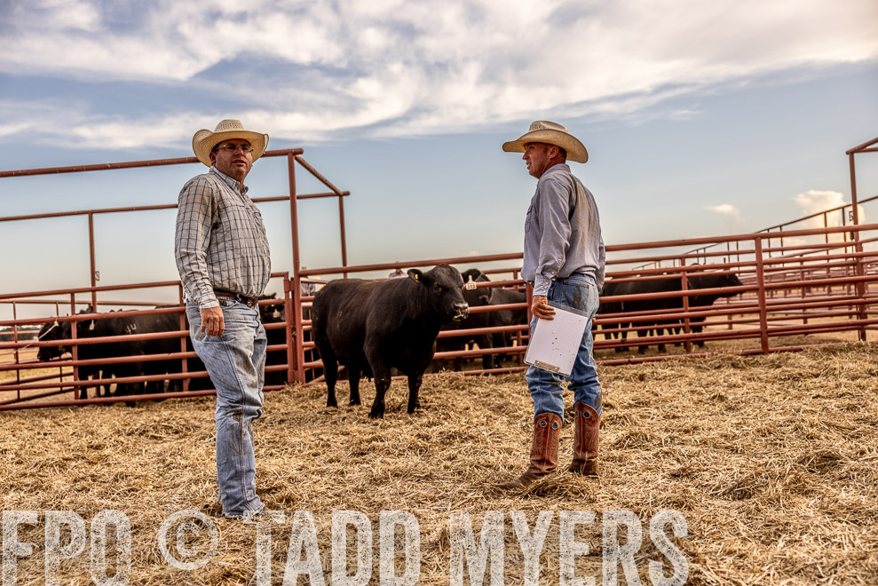 TMyers_SaleBookCover_CameronTX_Sept2021-521607