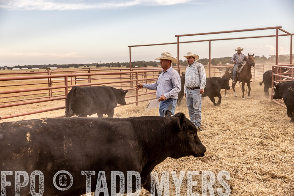 TMyers_SaleBookCover_CameronTX_Sept2021-521658