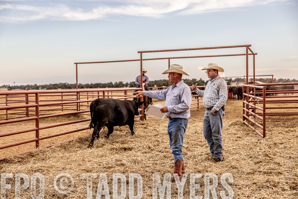 TMyers_SaleBookCover_CameronTX_Sept2021-521746