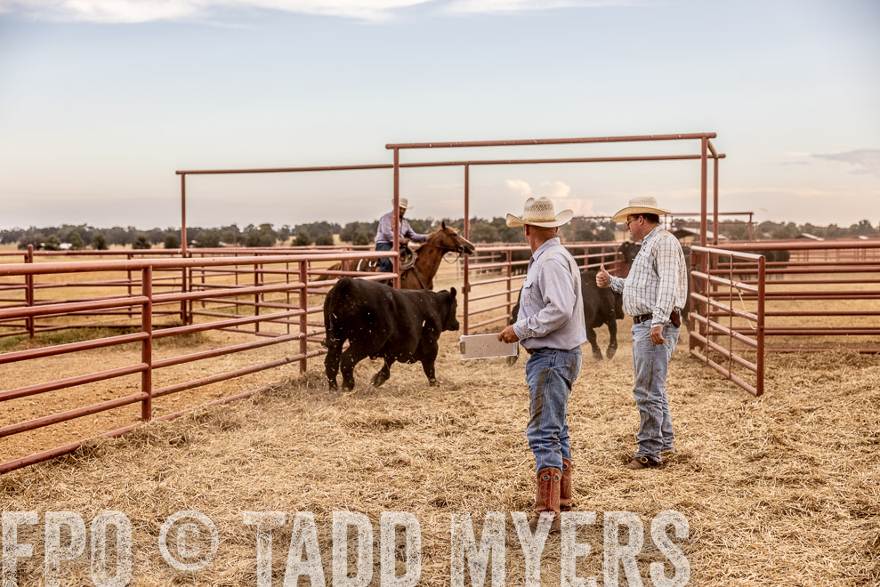 TMyers_SaleBookCover_CameronTX_Sept2021-521819