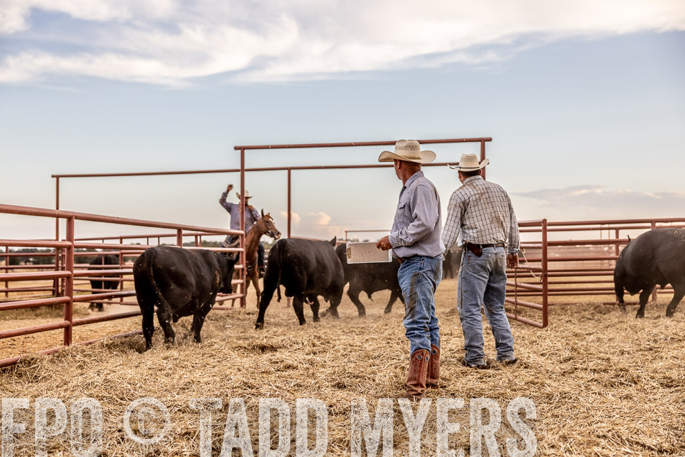 TMyers_SaleBookCover_CameronTX_Sept2021-521847
