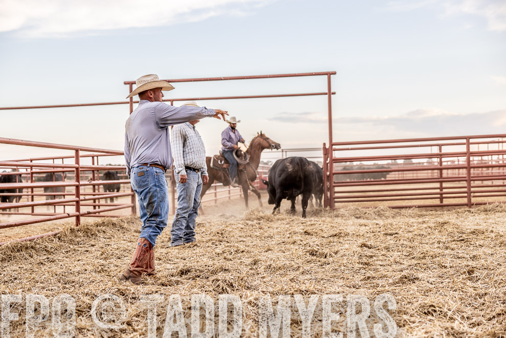 TMyers_SaleBookCover_CameronTX_Sept2021-522106