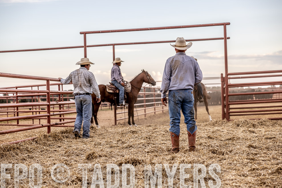 TMyers_SaleBookCover_CameronTX_Sept2021-522166