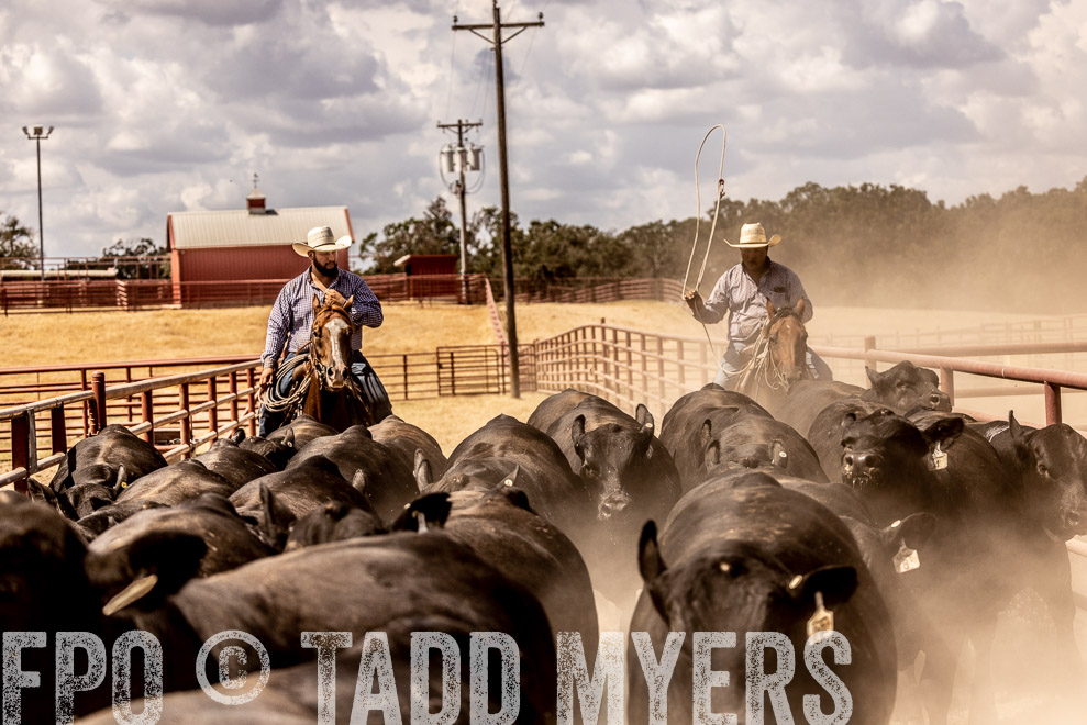 TMyers_SaleBookCover_CameronTX_Sept2021-528669