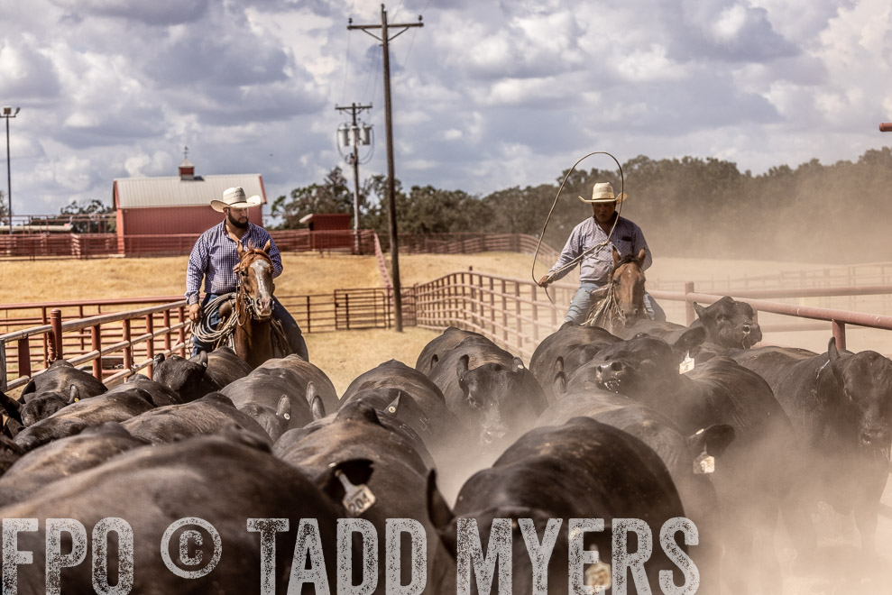 TMyers_SaleBookCover_CameronTX_Sept2021-528671