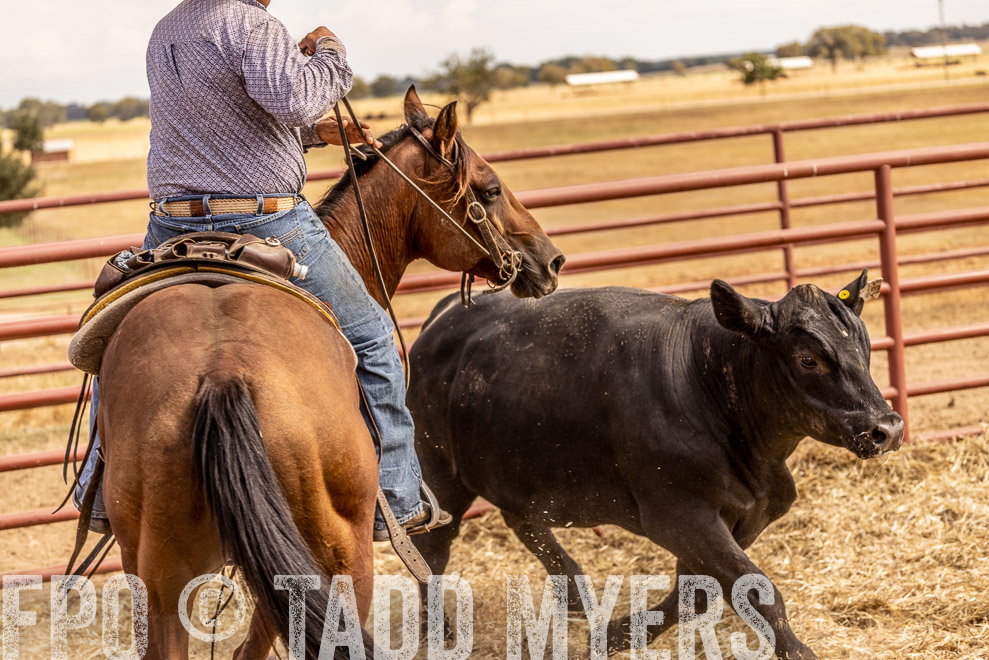 TMyers_SaleBookCover_CameronTX_Sept2021-528872