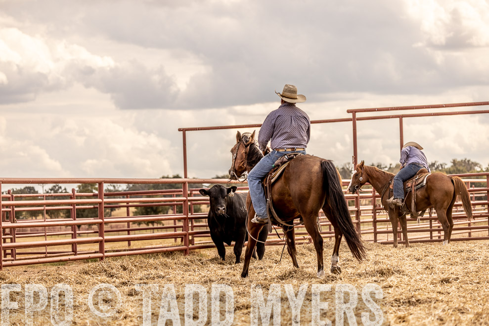 TMyers_SaleBookCover_CameronTX_Sept2021-529171