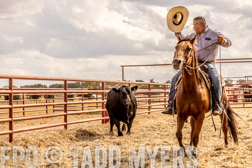 TMyers_SaleBookCover_CameronTX_Sept2021-529244