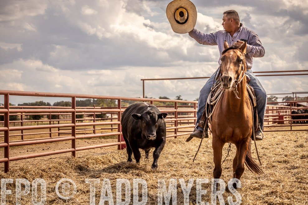 TMyers_SaleBookCover_CameronTX_Sept2021-529245