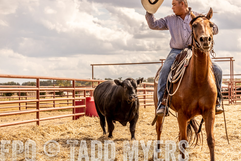TMyers_SaleBookCover_CameronTX_Sept2021-529247