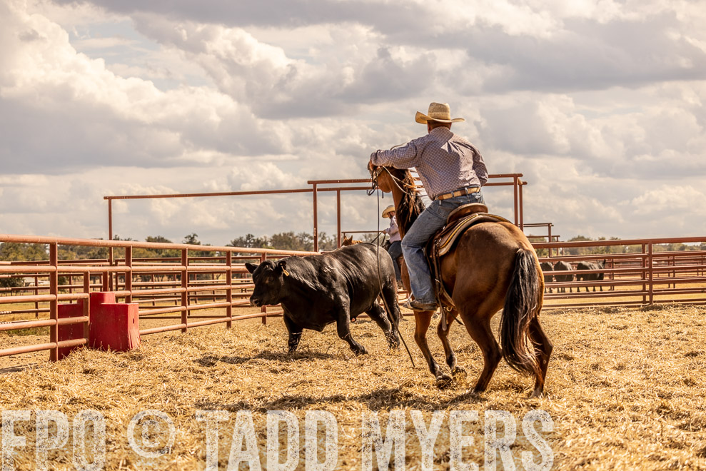 TMyers_SaleBookCover_CameronTX_Sept2021-529280