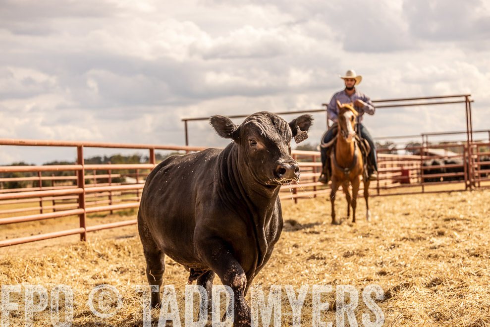 TMyers_SaleBookCover_CameronTX_Sept2021-529311