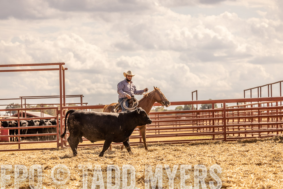 TMyers_SaleBookCover_CameronTX_Sept2021-529335