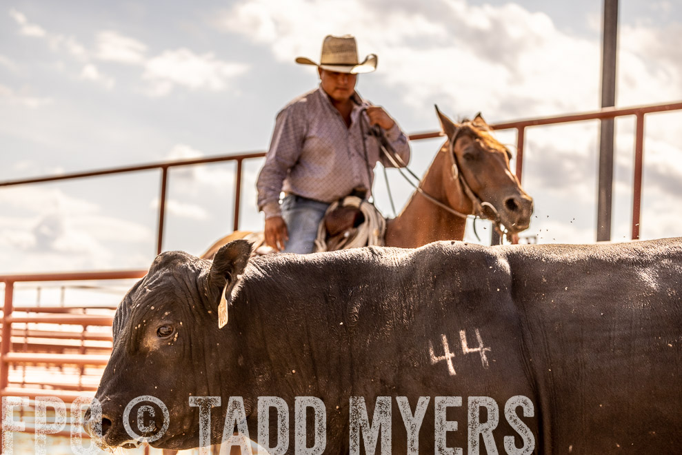 TMyers_SaleBookCover_CameronTX_Sept2021-529364