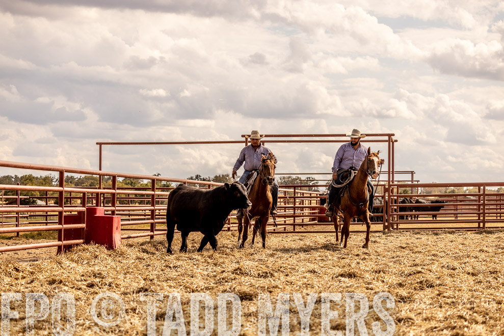 TMyers_SaleBookCover_CameronTX_Sept2021-529484