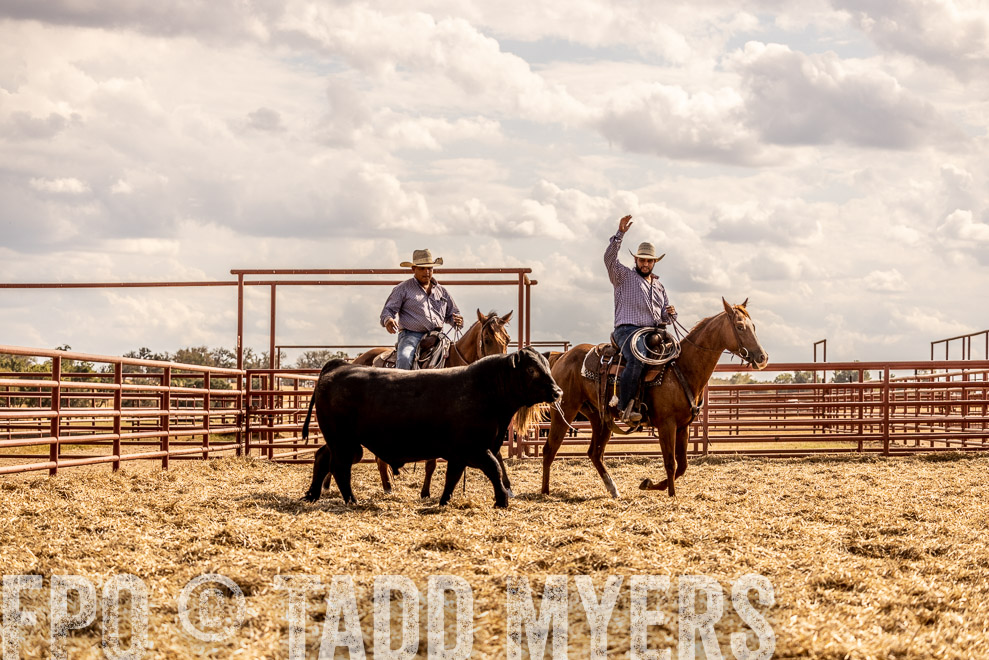 TMyers_SaleBookCover_CameronTX_Sept2021-529488
