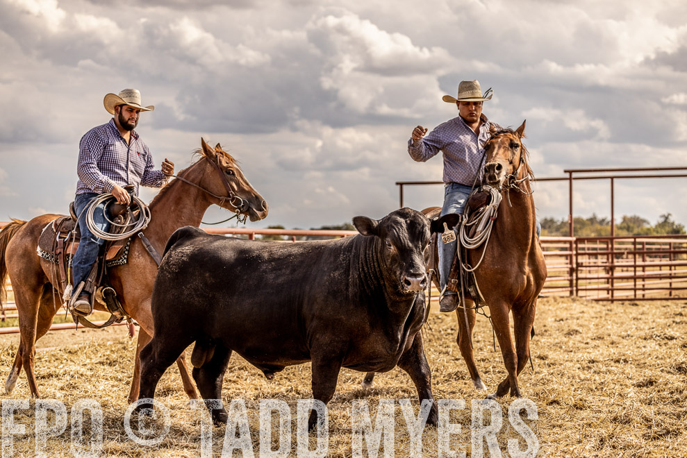 TMyers_SaleBookCover_CameronTX_Sept2021-529499-Edit