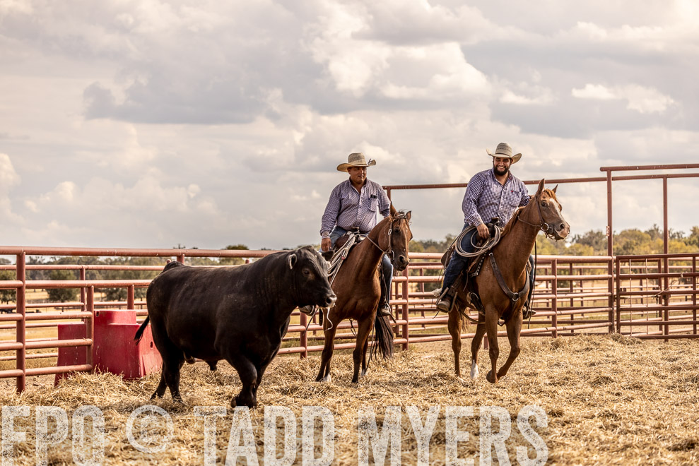 TMyers_SaleBookCover_CameronTX_Sept2021-529518