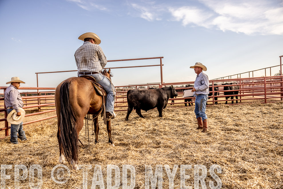 TMyers_SaleBookCover_CameronTX_Sept2021-529751