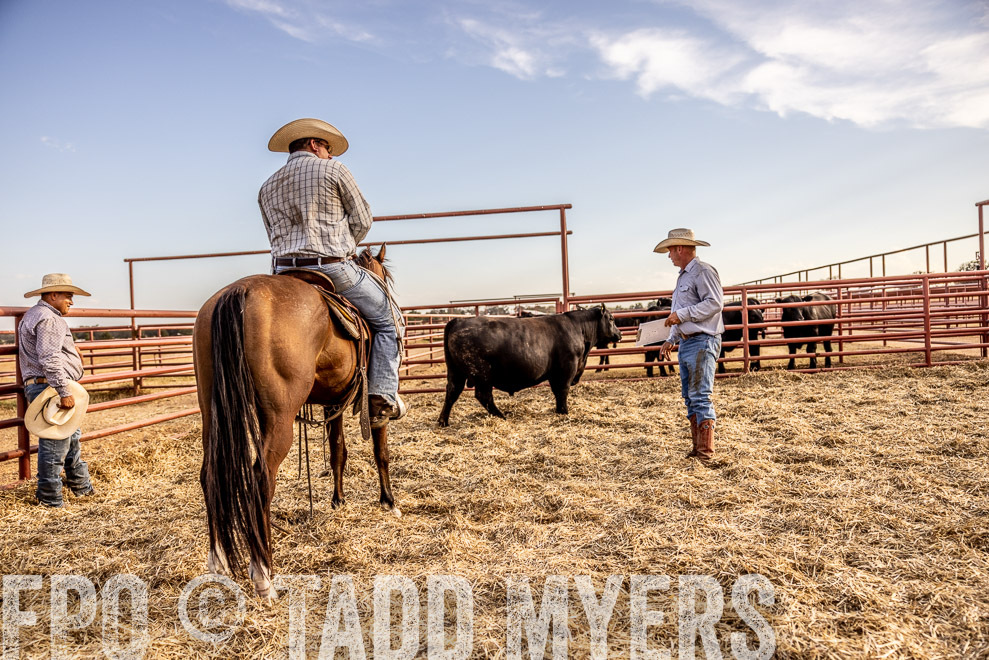 TMyers_SaleBookCover_CameronTX_Sept2021-529752