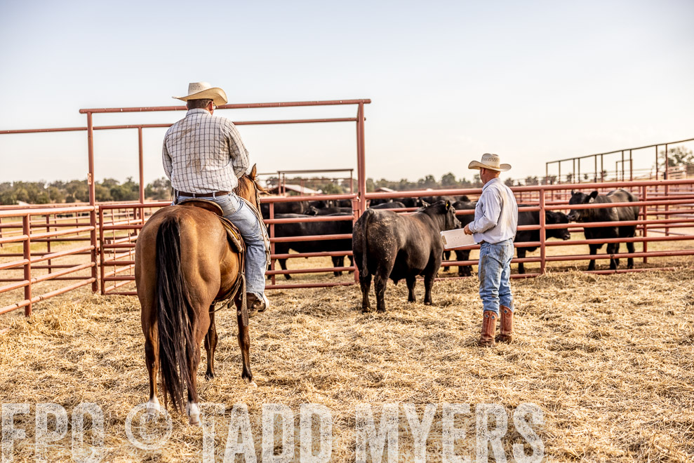 TMyers_SaleBookCover_CameronTX_Sept2021-529759