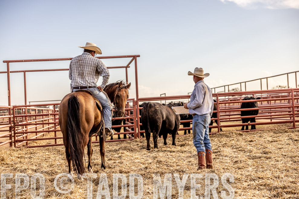 TMyers_SaleBookCover_CameronTX_Sept2021-529771