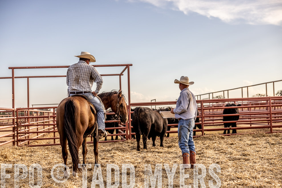 TMyers_SaleBookCover_CameronTX_Sept2021-529773