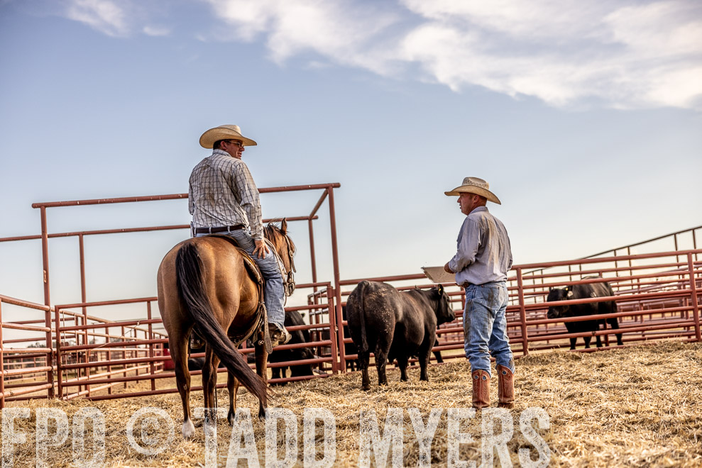 TMyers_SaleBookCover_CameronTX_Sept2021-529793