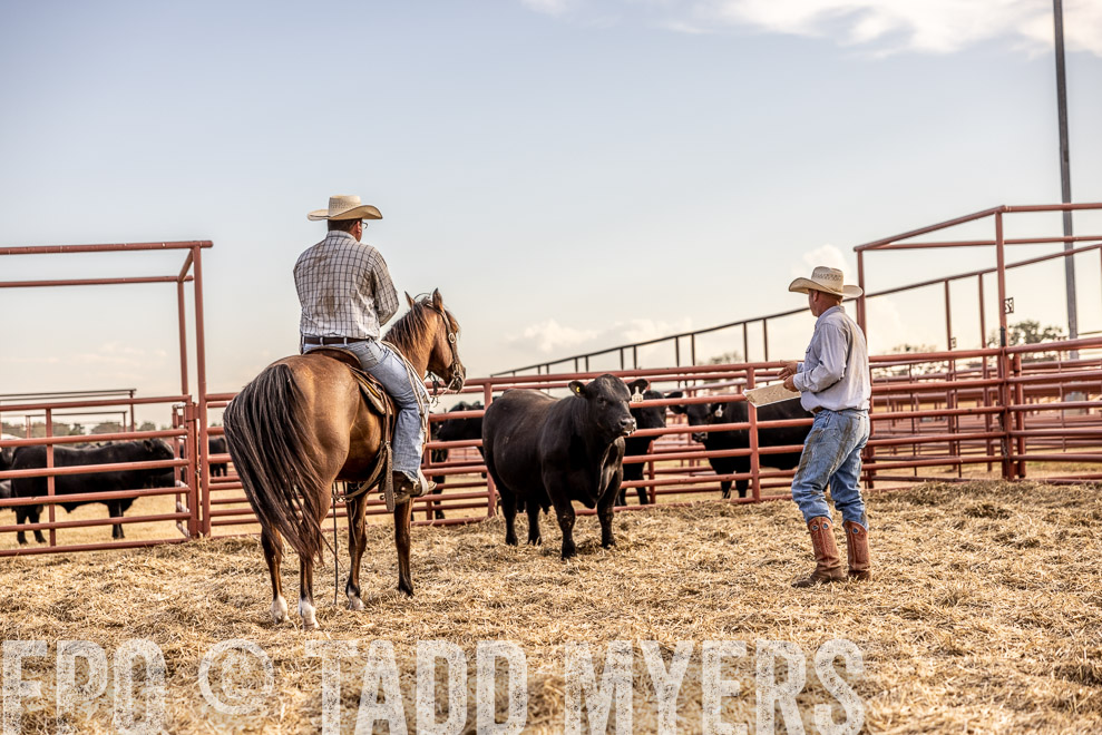 TMyers_SaleBookCover_CameronTX_Sept2021-529964