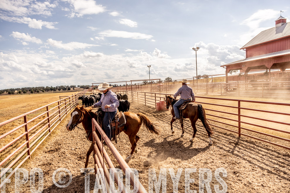 TMyers_SaleBookCover_CameronTX_Sept2021-9316