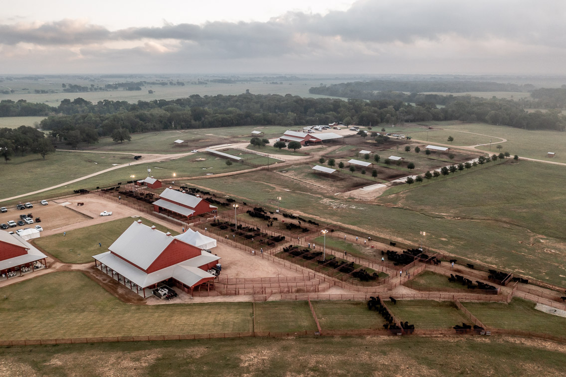 44Farms_Cameron_FallBullSale_Oct2021-0354