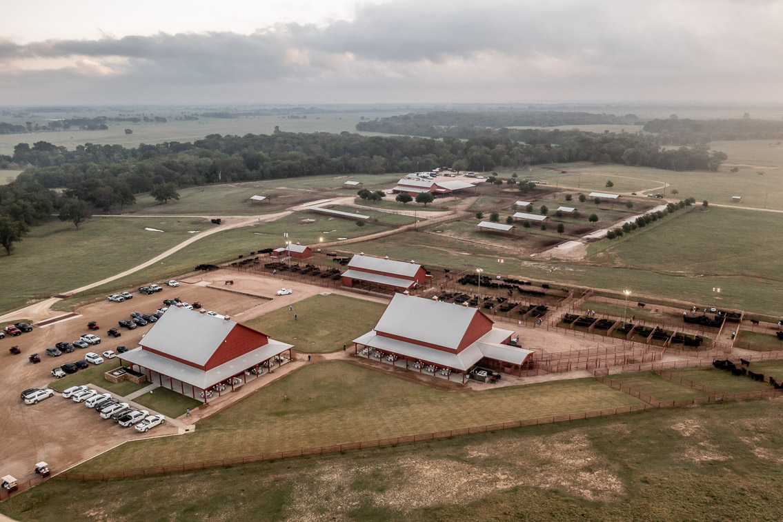 44Farms_Cameron_FallBullSale_Oct2021-0357