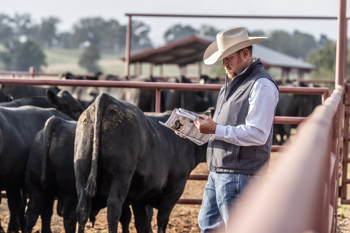 44Farms_Cameron_FallBullSale_Oct2021-519415